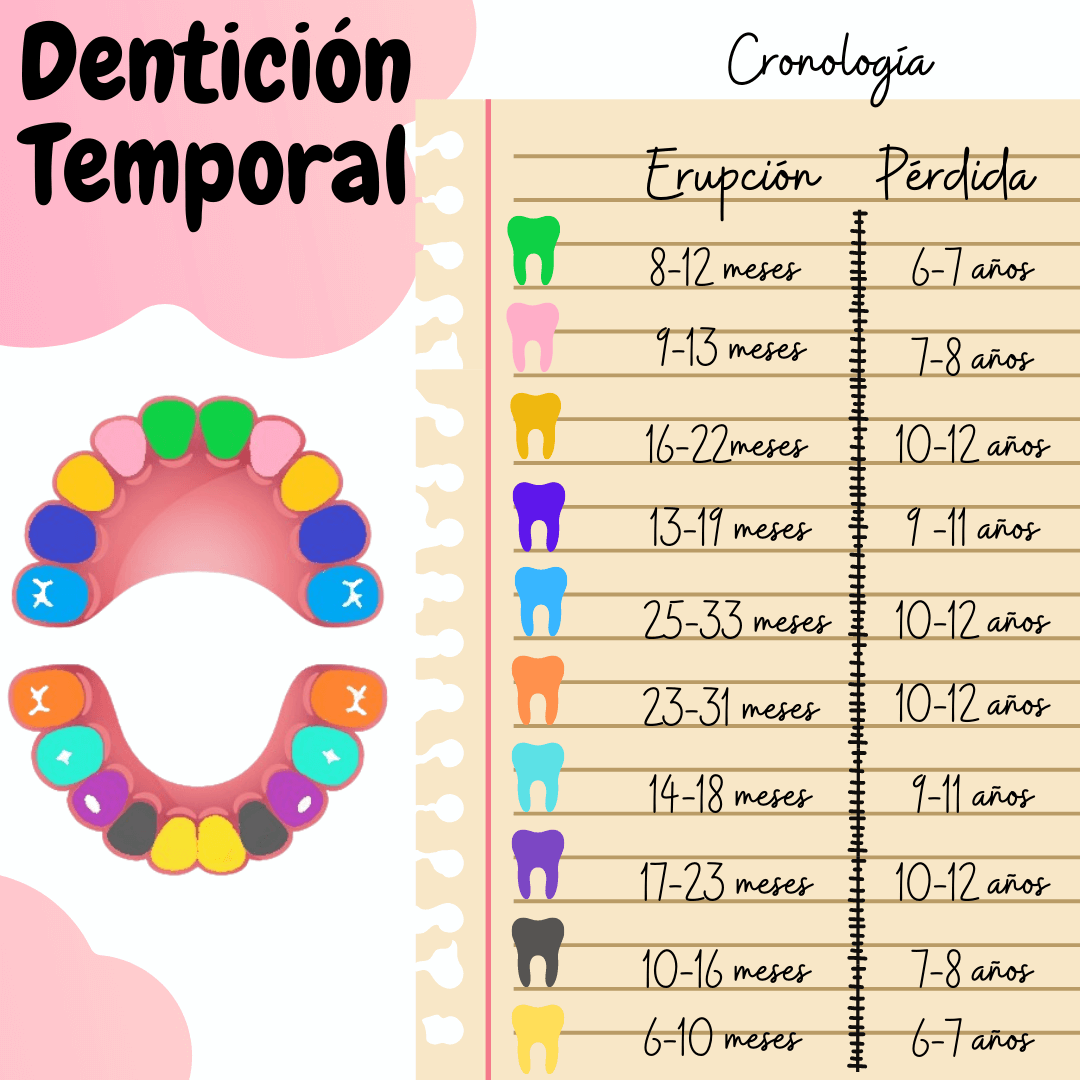 Clínica Dental Oviedo Amoedo