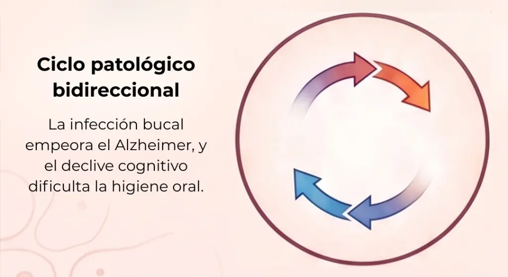 Dentista en Oviedo - Clínica Amoedo Clínica Dental Oviedo Amoedo